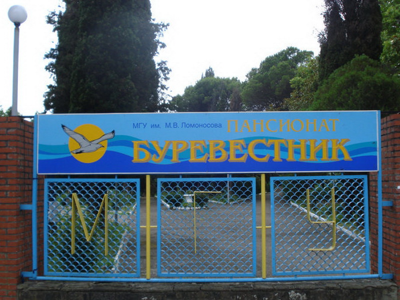 Буревестник